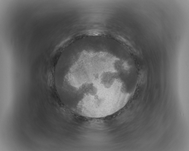 X0000112351446200909101033