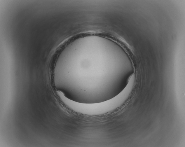 X0000112351448200909101033