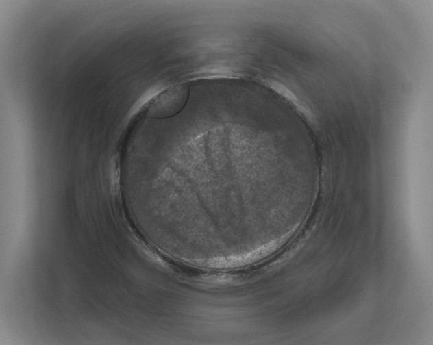 X0000112351450200909101033