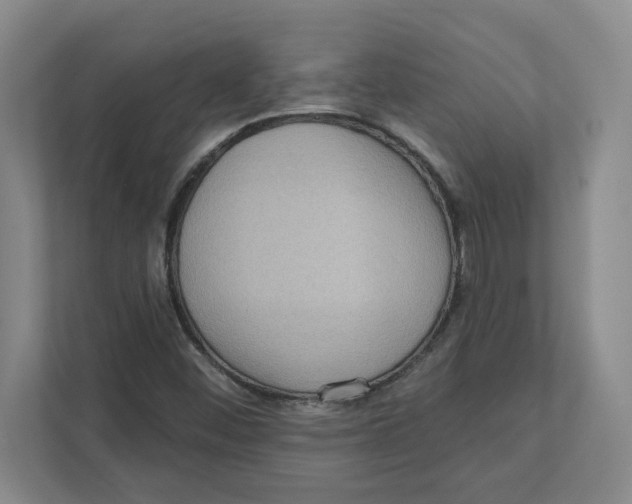 X0000112351452200909101033