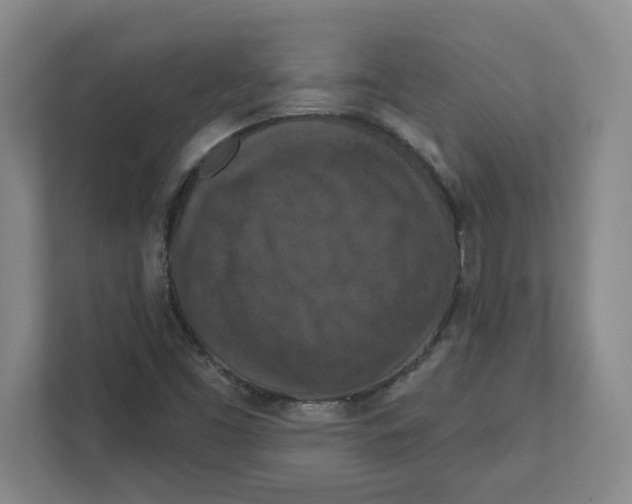 X0000112351453200909101033