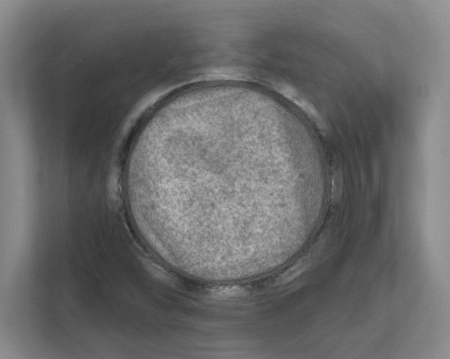 X0000112351454200909101033