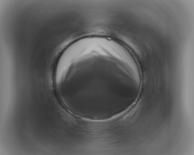 X0000112351455200909101033