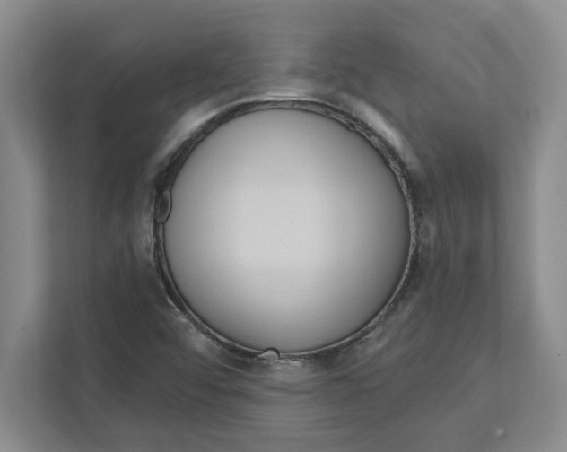 X0000112351456200909101033