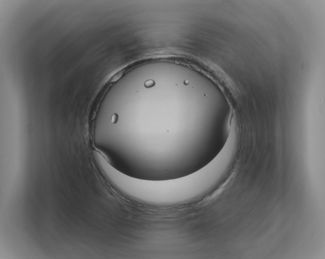 X0000112351457200909101033