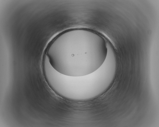 X0000112351460200909101033