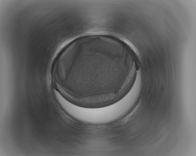 X0000112351461200909101033