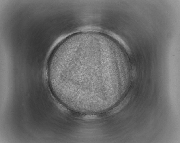 X0000112351462200909101033