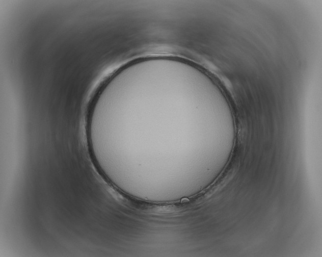 X0000112351464200909101033