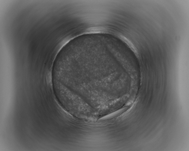 X0000112351465200909101033