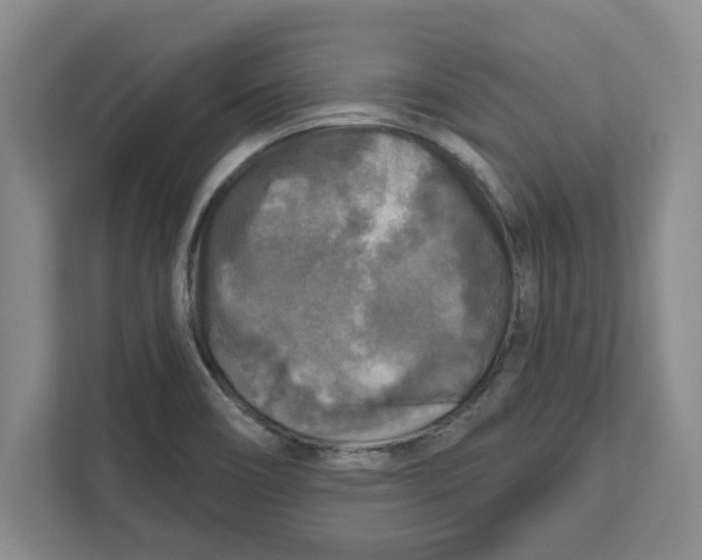 X0000112351466200909101033