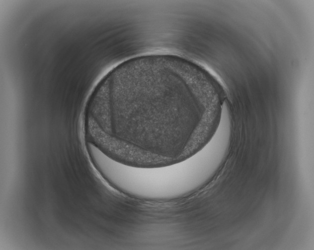 X0000112351468200909101033