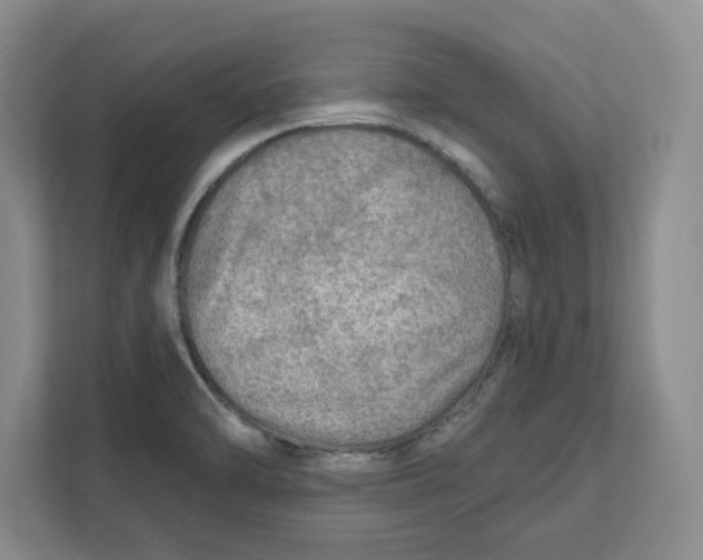 X0000112351470200909101033