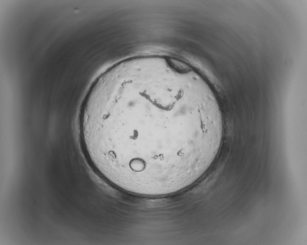 X0000112351471200909101033