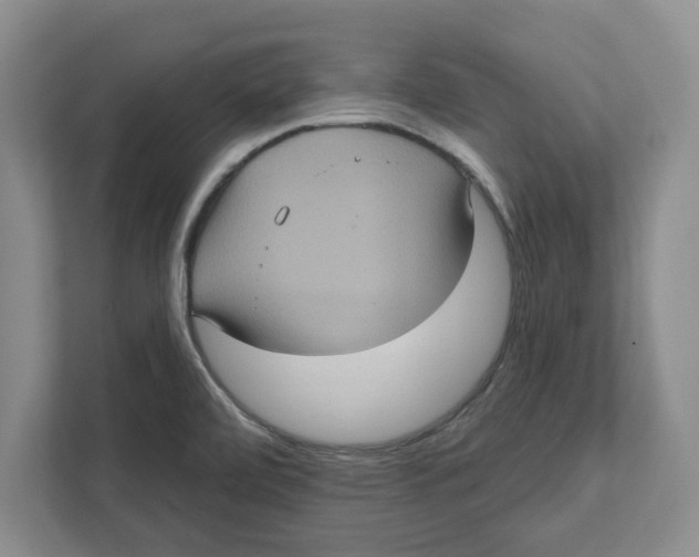 X0000112351472200909101033