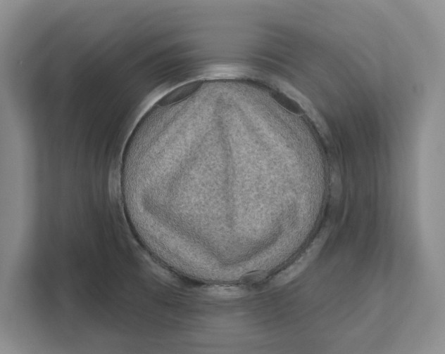 X0000112351473200909101033