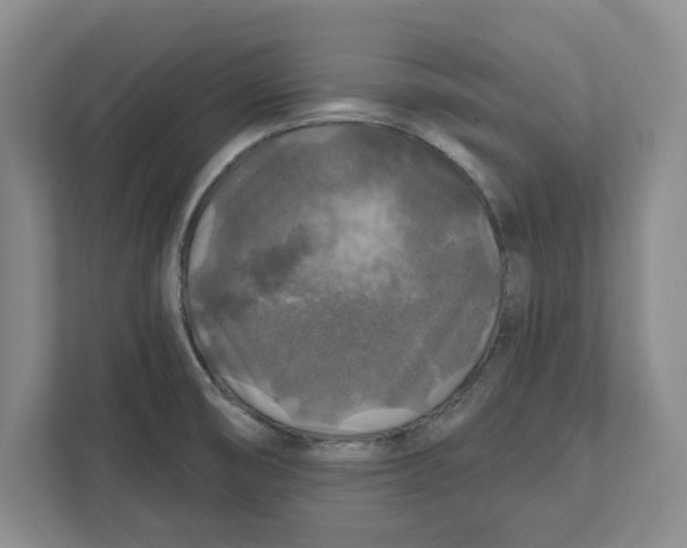 X0000112351474200909101033