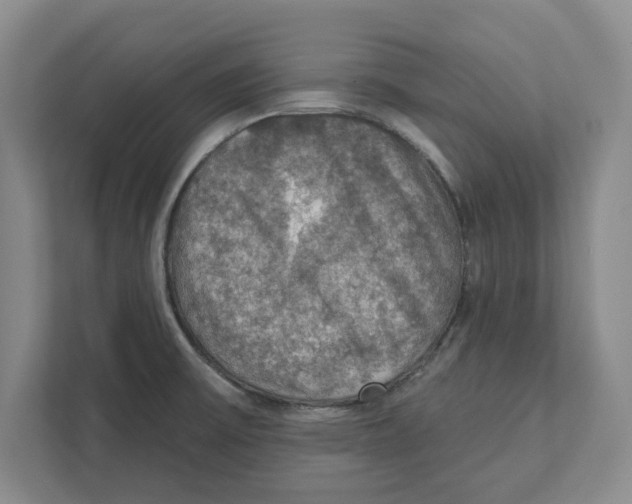 X0000112351475200909101033