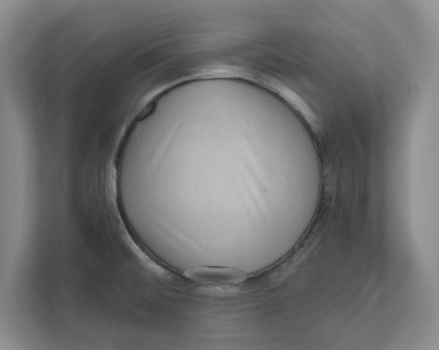 X0000112351476200909101033