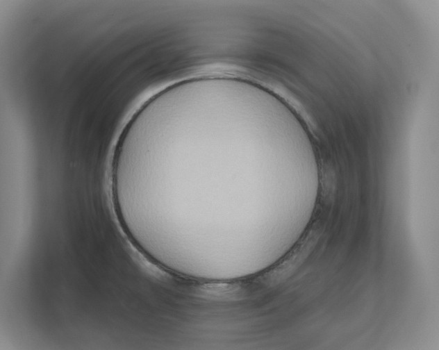 X0000112351478200909101033