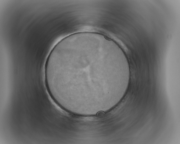 X0000112351479200909101033