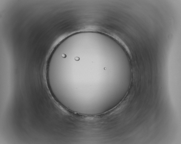 X0000112351480200909101033