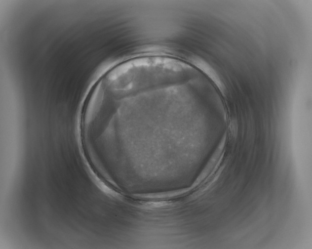 X0000112351482200909101033