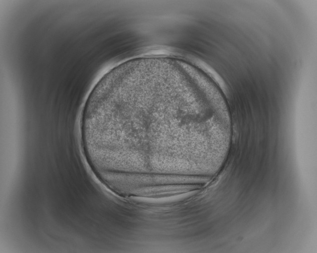 X0000112351483200909101033