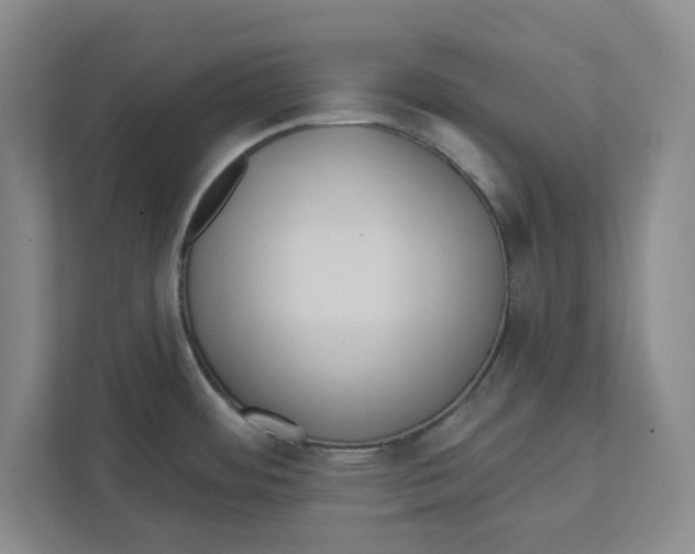 X0000112351484200909101033