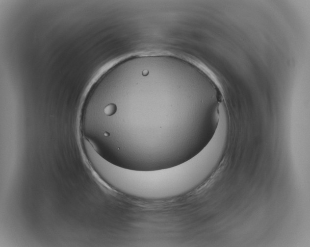 X0000112351485200909101033