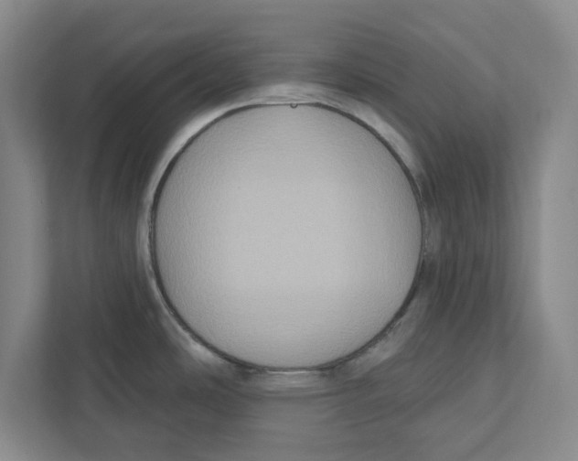 X0000112351486200909101033