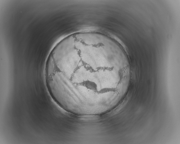 X0000112351487200909101033