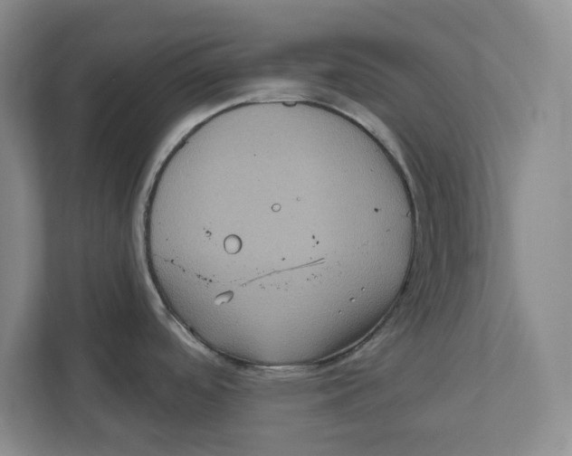 X0000112351488200909101033