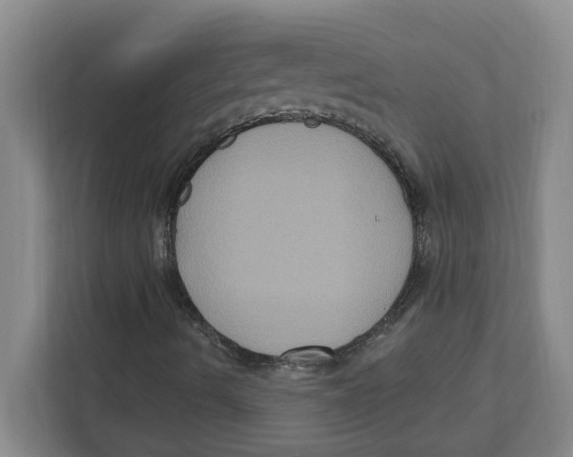 X0000112351490200909101032