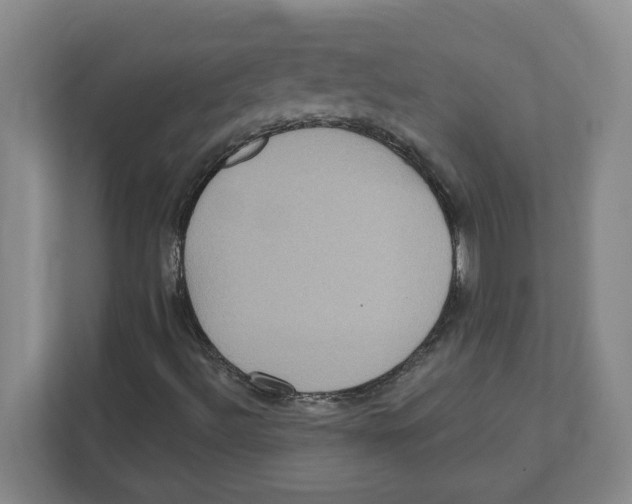 X0000112351492200909101032