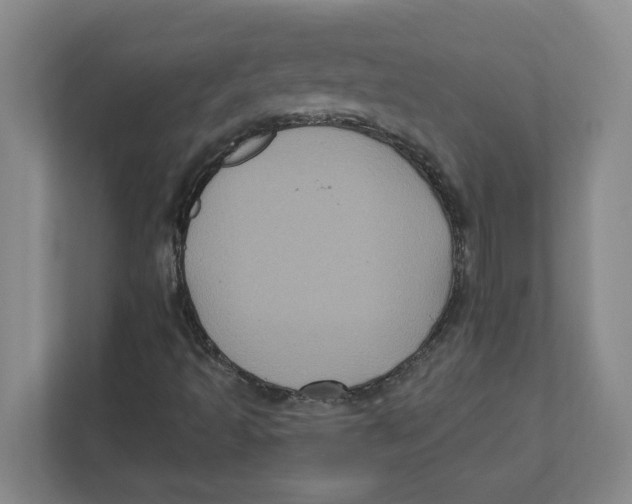 X0000112351493200909101032