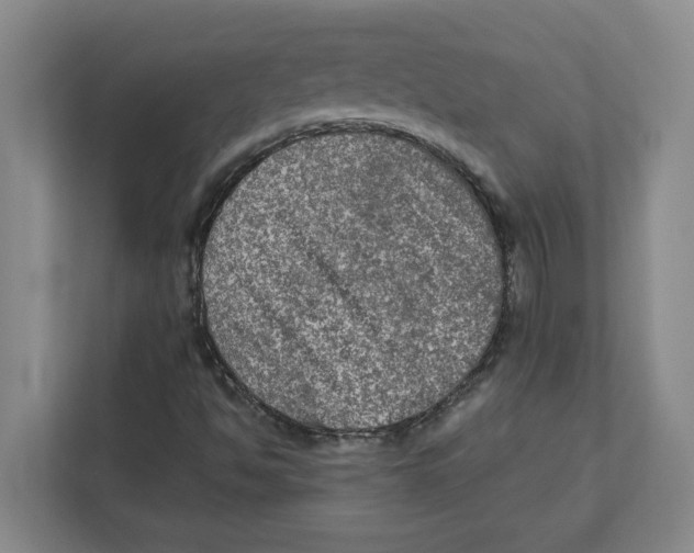 X0000112351494200909101032