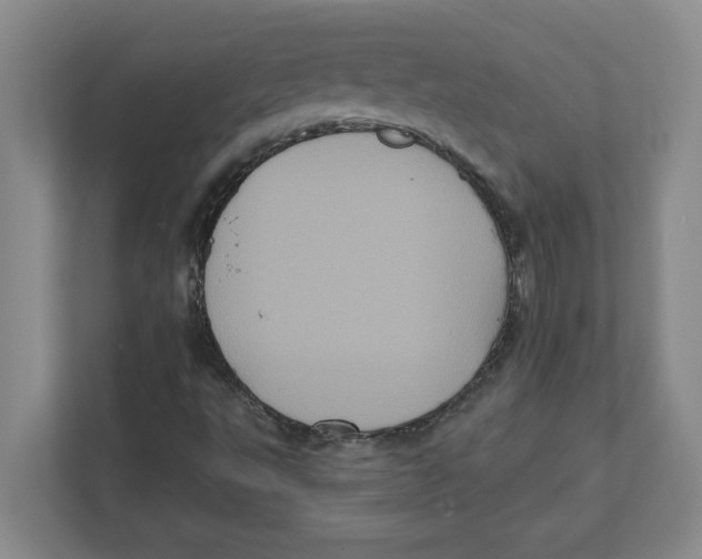 X0000112351495200909101032