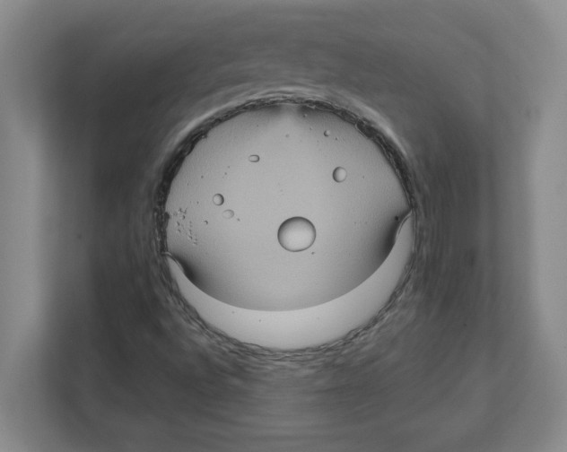 X0000112351496200909101032