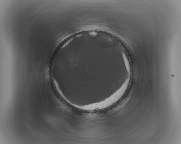 X0000112351497200909101032