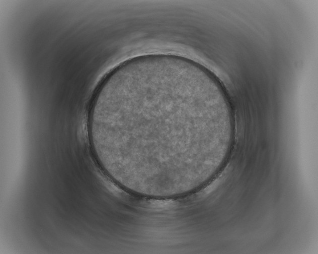 X0000112351498200909101032