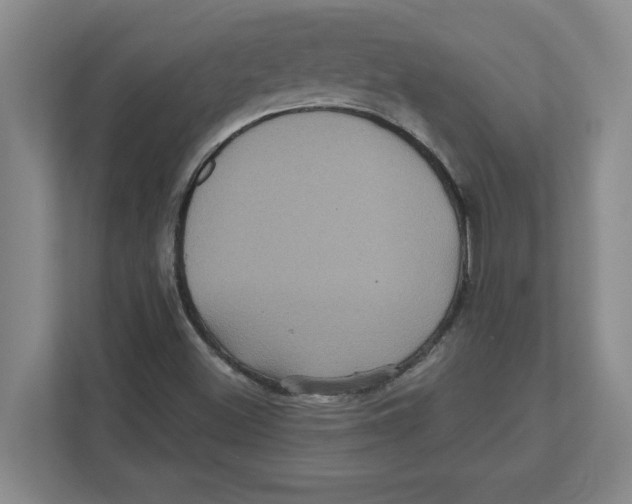 X0000112351500200909101032