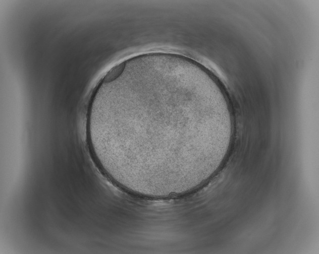 X0000112351504200909101032