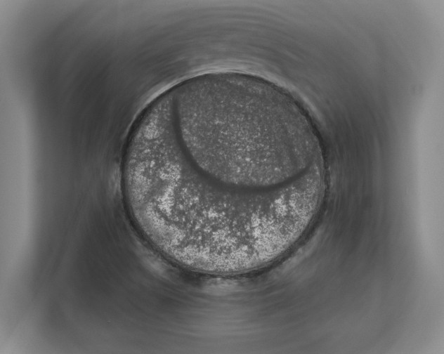 X0000112351505200909101032