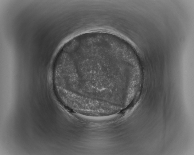 X0000112351506200909101032