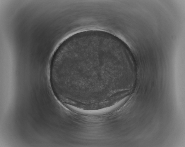 X0000112351508200909101032