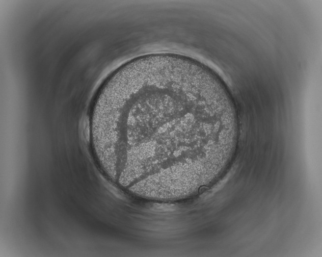 X0000112351509200909101032