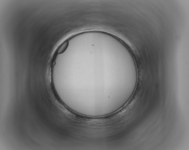 X0000112351510200909101032