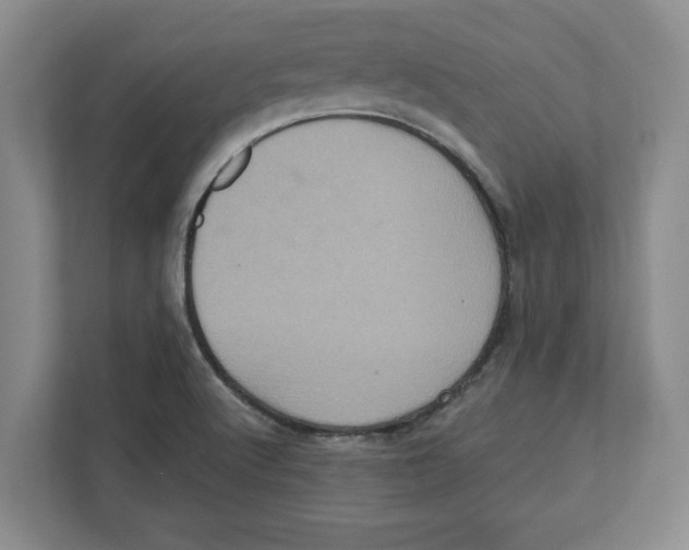 X0000112351512200909101033