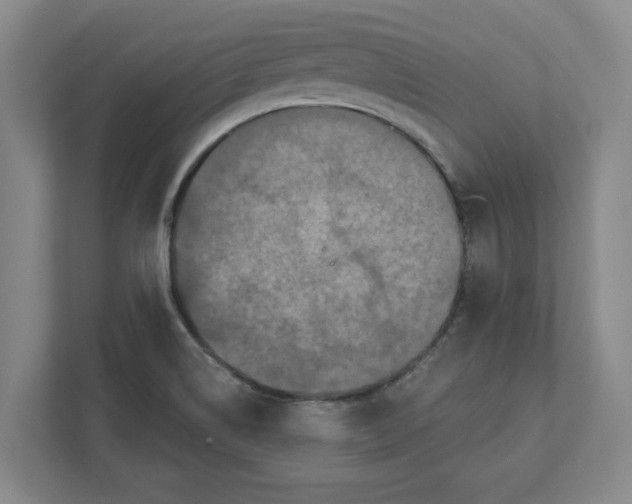 X0000112351514200909101033